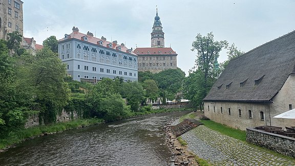 20250522_095533.jpg  